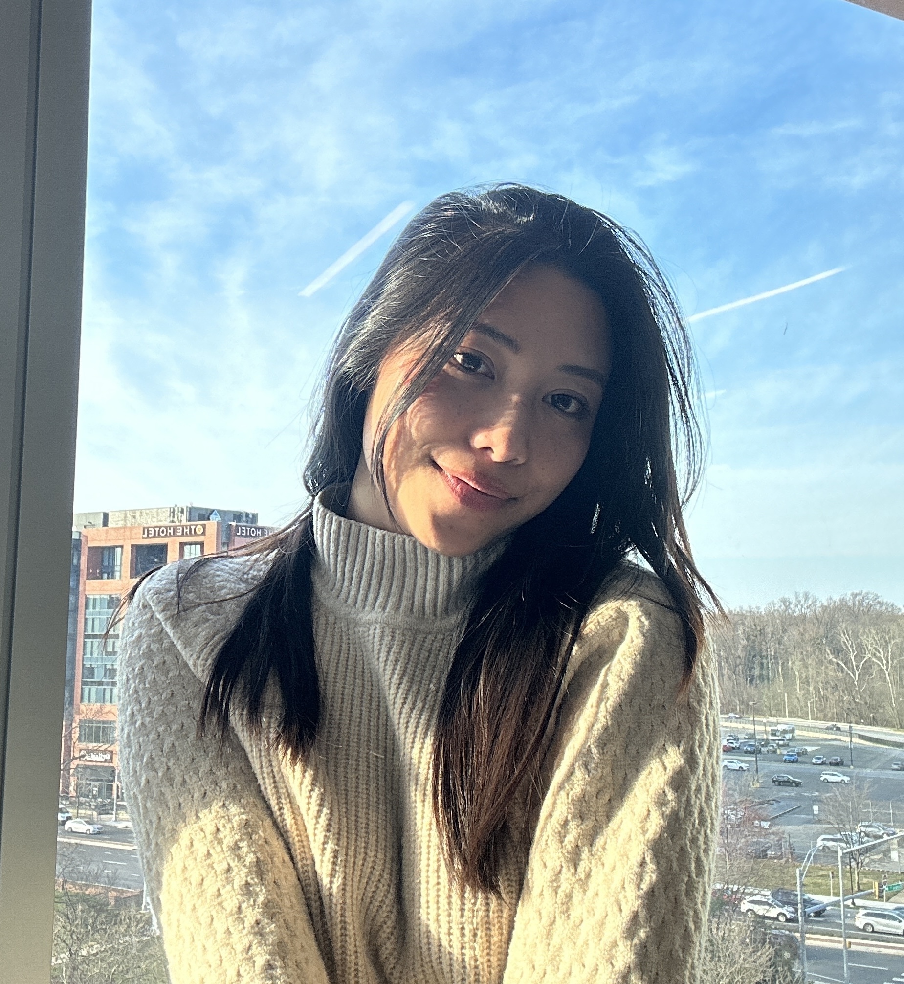 Phuong-Anh Nguyen-Le (Kem)